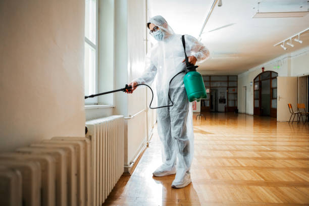 Best Fumigation Services  in Kenneth City, FL